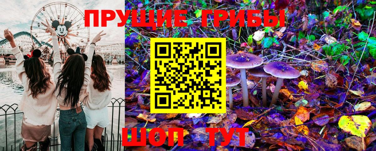Псилоцибиновые грибы мухоморы  Галлюциногенные грибы Magic Shrooms  Вход с VPN  где купить наркоту  Рославль 